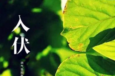 入伏在即，酷暑將至