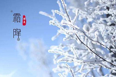 葉落草枯，秋晚凝霜