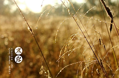 寒露已至，注意添衣防寒