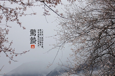 春雷起，驚蟄出